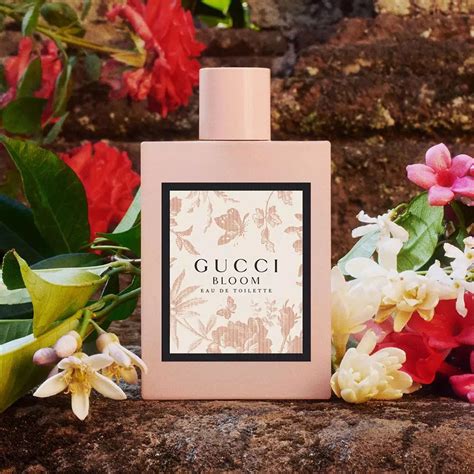 eau de toilette gucci bloom|Gucci Bloom fragrances.